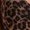 Multicolor, variant on Multicolor Leopard Print Spaghetti Strap Mini Dress With Asymmetrical Hem, Chiffon Summer Dress For Women