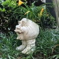 thumbnail image 3 of Homestyles Antique White Uncle Nate & Aunt Minnie the Muggly Face Humorous Statue Planter Pot, 3 of 5