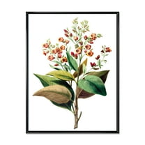 Designart 'American Vintage Flowers II' Traditional Framed Canvas Wall Art Print