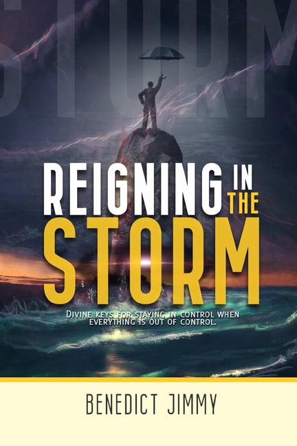Reigning in the Storm : Divine Ways of Being in Control of Your Life in a Trouble Season (Paperback)