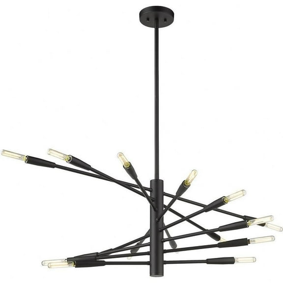 16 Light Chandelier in Architectural Style-15 inches Tall and 32 inches Wide-Matte Black Finish Bailey Street Home 372-Bel-4652098