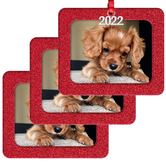 Expressly Yours! 2022 Picture Frame Christmas Ornament with Magnetic Glitter and Non-Glare Photo Protector, Horizontal Red, 3-Pack