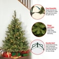 thumbnail image 4 of National Tree Company 4.5 ft. Carolina Pine Tree with Clear Lights, 4 of 4