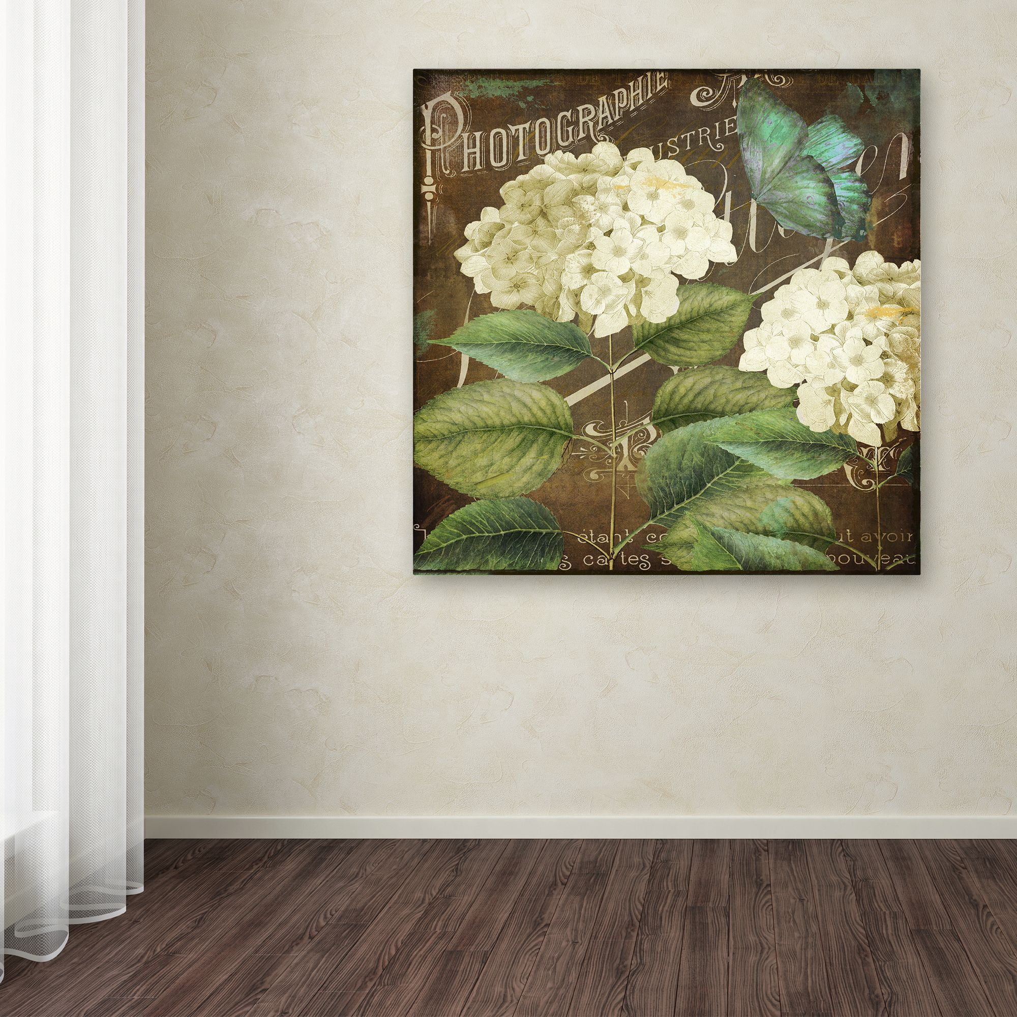 Trademark Fine Art "Alabaster Hydrangea" Canvas Art by Color Bakery