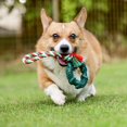 thumbnail image 3 of Vibrant Life Rubber Ring with Rope Dog Toy, 3 of 3