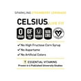 CELSIUS Sparkling Strawberry Lemonade, Functional Essential Energy