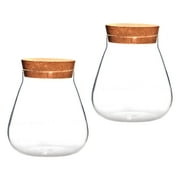 2 Pcs Cork Glass Bottle Micro Landscape Vase Plant Decor Decoration Vases Clear Jar Mushroom