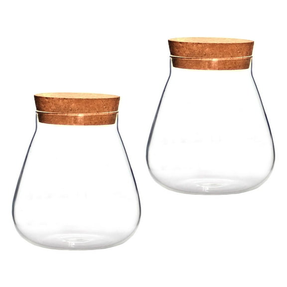 Cork Glass Bottle Vases for Centerpieces Indoor Plants 4 Pcs Jar Wood Decor Decoration Hydroponics Flower