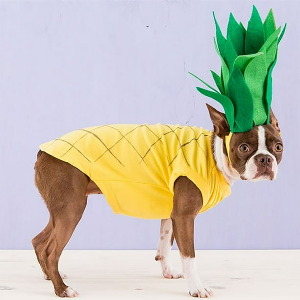 Pineapple top dog sweater