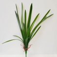 thumbnail image 1 of 21" Green Real Touch Araignée Plante Buisson Faux Plantes et Arbres, 1 of 1