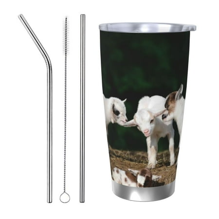 

Easygdp Cute Goat Baby 20oz Stainless Steel Vacuum Insulated Double Wall Travel Tumbler Durable Insulated Coffee Mug with Spillproof Lid-Straw Three-piece Set