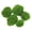 C, variant on LGHDIWN Artificial Green Foam Moss Stones Set - Decorative Simulated Plant Wall Accessories & Plush Garden Rocks, Realistic DIY Terrarium and Fairy Garden Decor