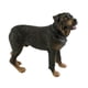 thumbnail image 5 of Estatua de perro cachorro de pie, figura decorativa duradera y muy detallada para escritorio. rottweiler, 5 of 9