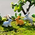 thumbnail image 3 of SPRING PARK Rabbit DIY Mini Miniature Fairy Garden Ornament Decor Pot Craft Dollhouse Accessories, 3 of 7