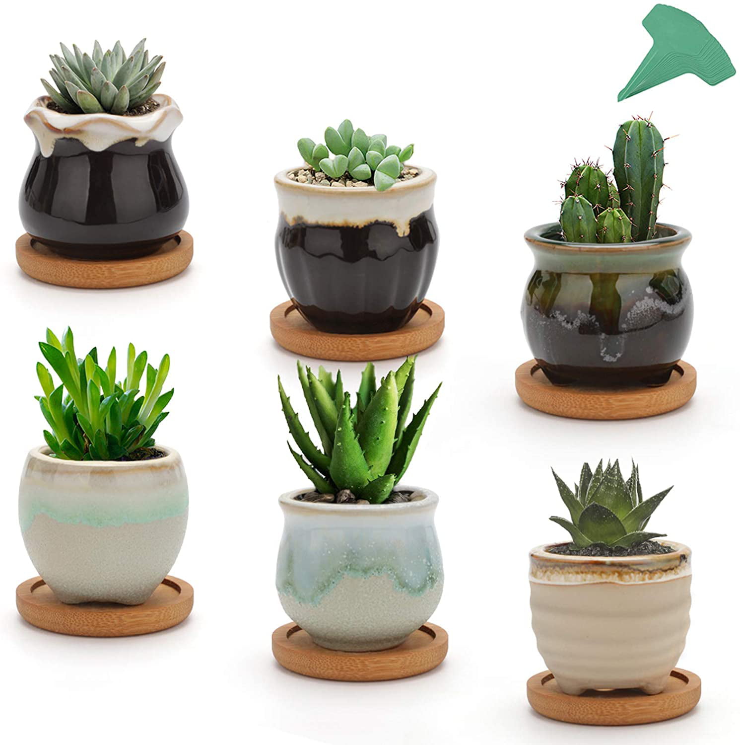 Garden 3" Mini Frog Ceramic Succulent Planter Pot Cactus Bamboo Pots For Home 