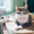 thumbnail image 4 of Collar De Gato Con Pajarita Y Campana, Collares Florales Clásicos Para Gatitos Con Pajarita Extraíble, Collar Ajustable Para Gatito, Cachorro, Perros Pequeños seitruly PT002755-05, 4 of 6