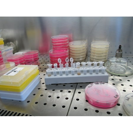 Poster Set Science Lab - LAMINATED POSTER Laboratory Scientific Science Lab Research Biology Poster Print 24 x 36