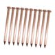 thumbnail image 5 of Clavos de cobre perfecl 10 piezas 100mm para bricolaje paisajismo, 5 of 8