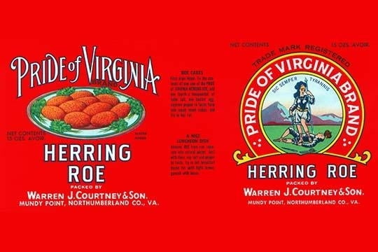 15 oz. Courtney Mundy Point Va Pride of Virginia Herring Can Label Warren J