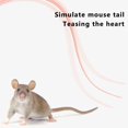 thumbnail image 7 of HAVELOR Silicone Cat Wand Toy, 22 inches, Safe Interactive Play for Kittens, Stimulates Natural Hunting Instincts During Indoor Playtime(Green,1pcs), 7 of 7