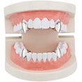thumbnail image 1 of HAHDAXIA 2 Pcs Iced Out Teeth Grillz for Hip Hop Grills for Your Teeth Top and Bottom, Rapper Costume Cosplay Teeth Jewelry and Accessories - for Photo Video Shoots, Clubbing, 1 of 2
