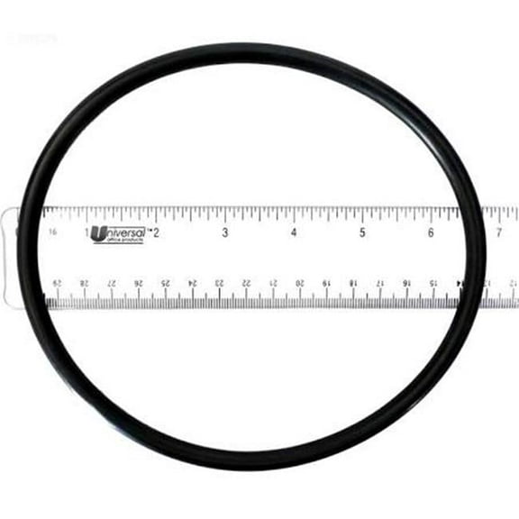 Waterway Plastics 8050436 6 in. Pump Trap Lid O-Ring