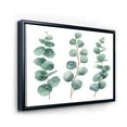 thumbnail image 3 of Designart 'Young Eucalyptus Branches and Leaves I' Traditional Framed Canvas Wall Art Print, 3 of 5
