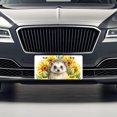 thumbnail image 3 of Hedgehog Watercolor Design With Sunflowers Metal Novelty License Plate, 3 of 7