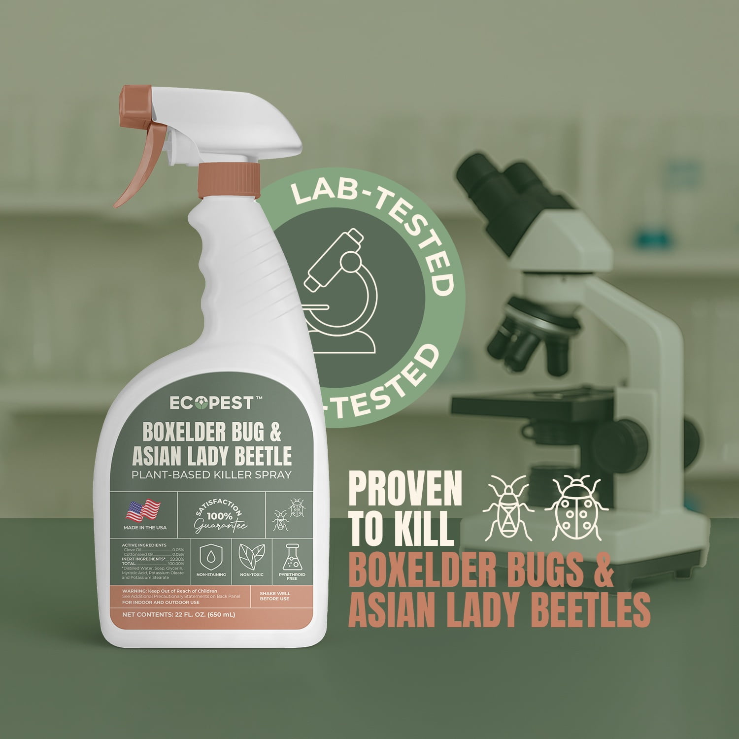 Boxelder Bug & Asian Lady Beetle Spray | Natural, Plant-Based Insect Killer for Indoor and Outdoor with Clove Oil | Home Pest Control for Boxelder Bugs, Asian Lady Beetles, and Carpet Beetles, 22 oz.