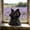 Red, variant on Black Cat Figurine, Halloween Decoration Resin Hooded Black Cat Statue with Emerald Eyes, Mysterious Cape Cats Statue Dressed In a Cape for Shelf Desktop Office Decoration