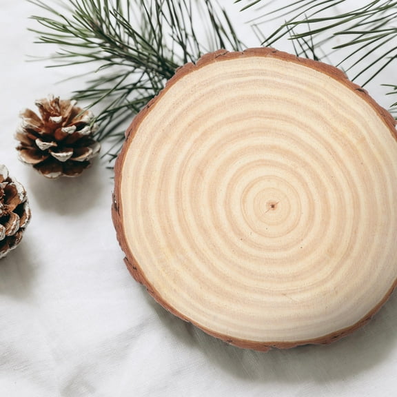 FESTFENDS 1Set Drawing Board For Artistic Creations 9In Diameter