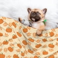 thumbnail image 3 of Yiaed Autumn Leaves And Pumpkins Print Dog Blankets-Cat Blanket Washable for Couch Protection,Puppy Blanket, Soft Plush Reversible Throw Furniture Protector-Large, 3 of 8