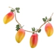 thumbnail image 1 of 4pcs / String Handle Artificial Home Garden Decoration Lot, 1 of 8