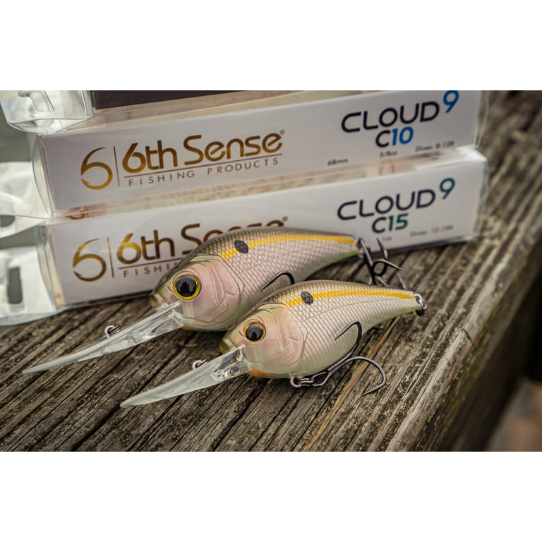 can you lure fish in winter How to Fish in Winter