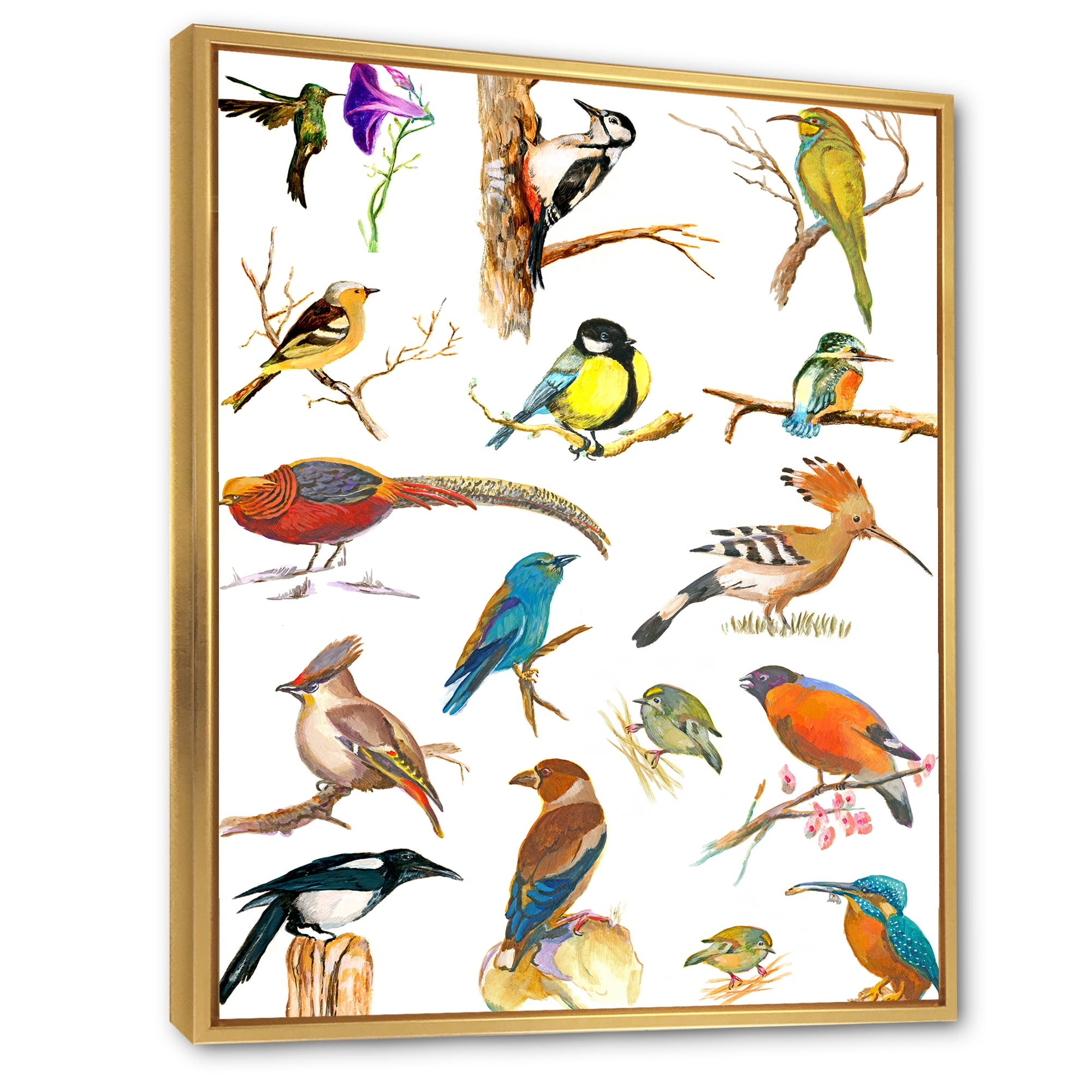 Designart 'Vital Colored Birds Plancard' Traditional Framed Canvas Wall Art Print