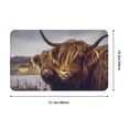 thumbnail image 5 of Yak (9) Front Door Mat, Indoor Mats for Bedroom Bathroom Kitchen, Floor Mat Non-Slip, Soft Carpet Floor Cover Machine Washable Entryway Mat - 20x31.5in, 5 of 5