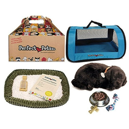 Perfect Petzzz Plush Black Lab Breathing Puppy Dog with Blue Tote For Plush Breathing Pet and Dog Food, Treats, and Chew (Best Toys For Lab Puppies)