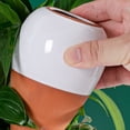 thumbnail image 1 of Bola de riego para plantas con estaca de terracota - Liberación lenta, frasco de 473 ml (16 oz), autoestaca, paquete de 4, 1 of 5