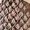 Taupe Multi Exotic Snake Print, variant on Sam Edelman Daffodil Toasted Almond Suede Leather