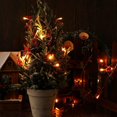thumbnail image 4 of Guirnalda de cuentas de bayas navideñas de 2,5 m, decoración de manto navideño, perlas acrílicas, luces Led cálidas, batería iluminada festiva, púrpura oscuro Sincero Electrónica, 4 of 5