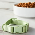 thumbnail image 2 of Vibrant Life Neoprene Cushioned Adjustable Dog Collar, Sage Green, Small, 2 of 8