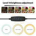 thumbnail image 2 of 6'' Ring Light for Laptop, Computer Clip Video Fill Light Conference Ring Beauty Live Light for Zoom Meetings,Makeup,Selfie,Tiktok,(Dimmable & USB Powered), 2 of 8
