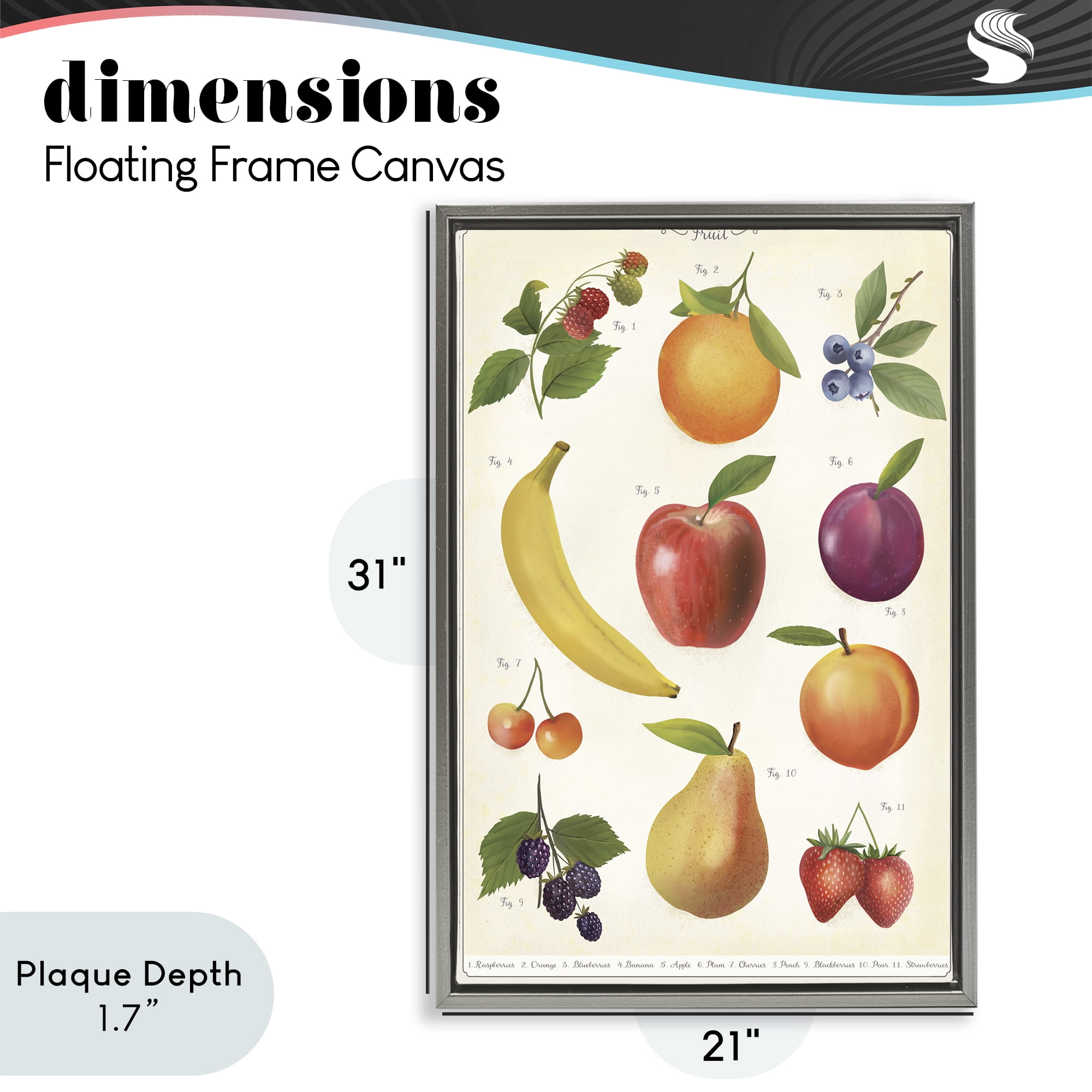 Stupell Industries Fruit Collection Studies Gray Framed Floater Canvas Wall Art, design by Diane Neukirch