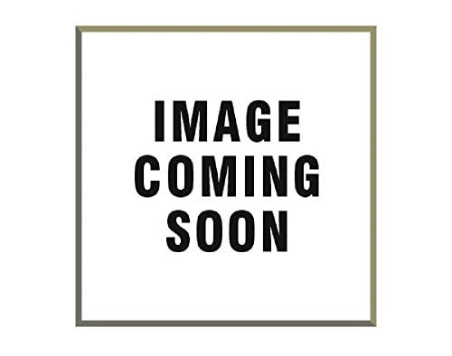Pioneer FRA203 Flywheel Assembly