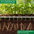 thumbnail image 4 of ZeeDix 8 Pcs 100% Organic Coco Coir Brick Coconut Coir Bricks for Plants Gardening Herbs, 4 of 9