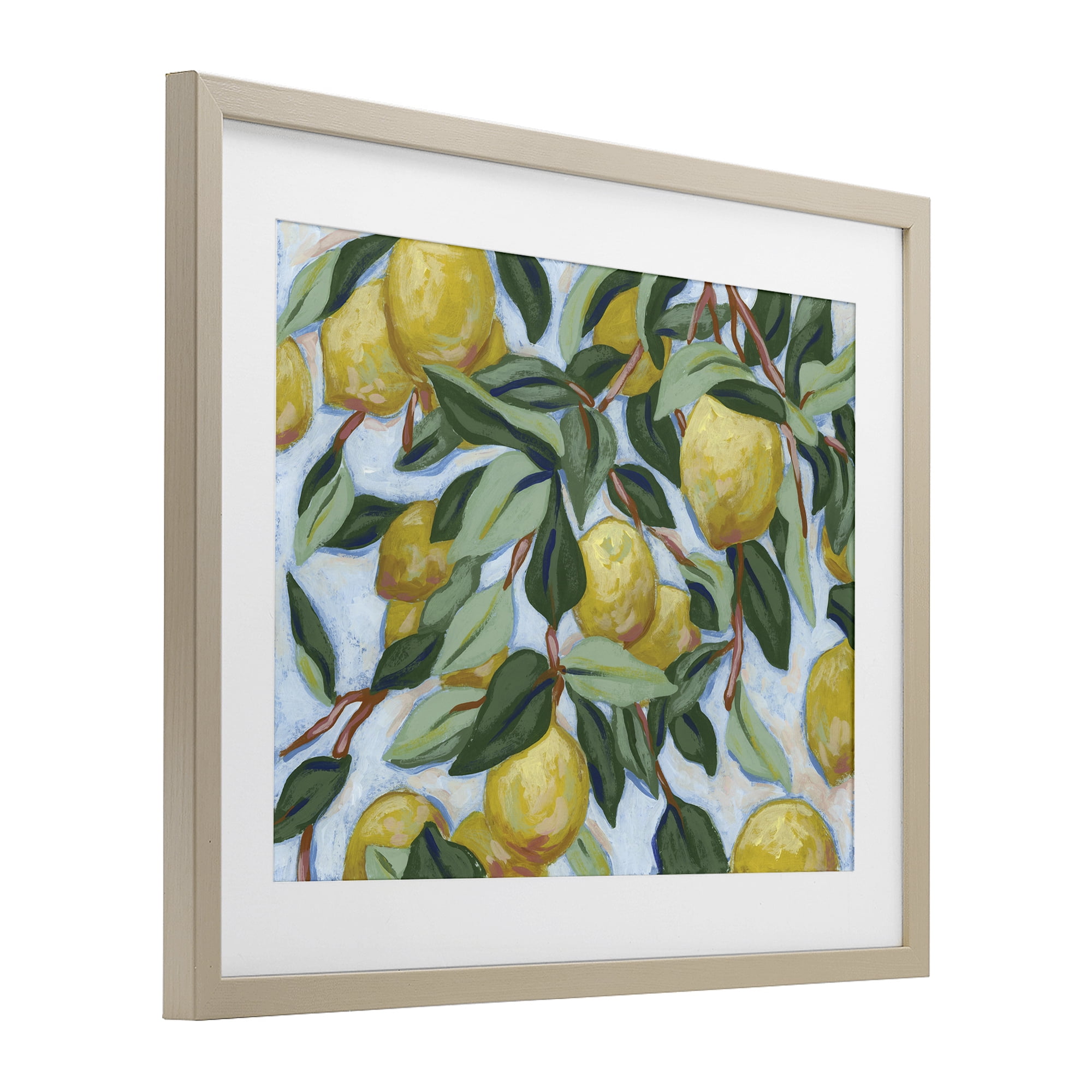 Stupell Industries Summer Citrus Tree Birch Framed Print Under Glass, design by June Erica Vess