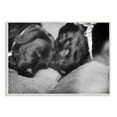 thumbnail image 1 of Stupell Industries Cute Cuddle Dog Pet Animal Black And White Photo Wall Plaque Art by Villager Jim, 1 of 2