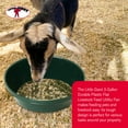 thumbnail image 6 of Little Giant 3 Gallon Flat Farm Livestock Feed Utility Pan, Green (12 Pack), 6 of 6