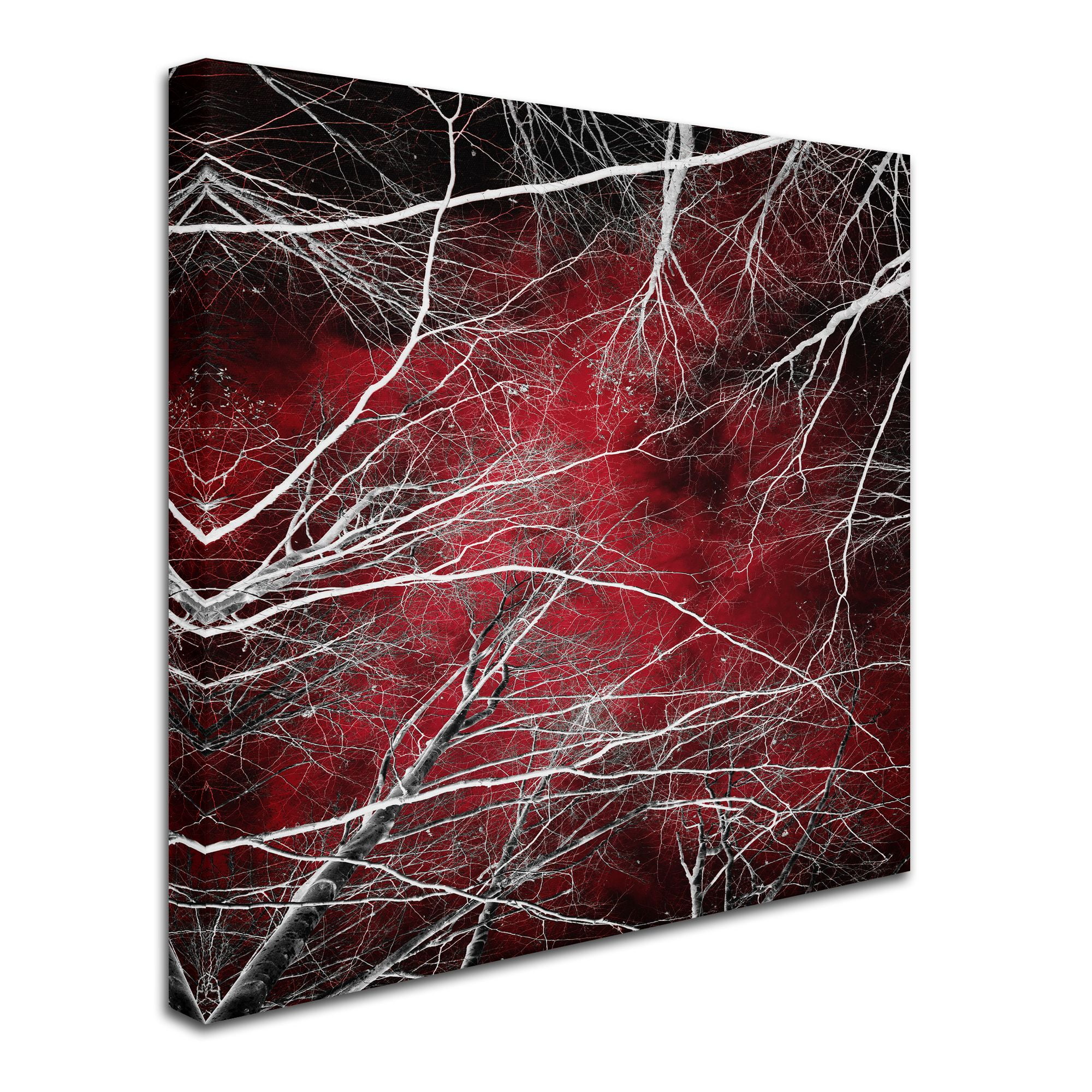 Trademark Fine Art "Fear" Canvas Art by Philippe Sainte-Laudy