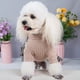 thumbnail image 5 of Falda para mascotas de primavera y verano, ropa para parejas, Teddy Chenari, perro pequeño, falda de princesa con tirantes, ropa para mascotas, 5 of 6